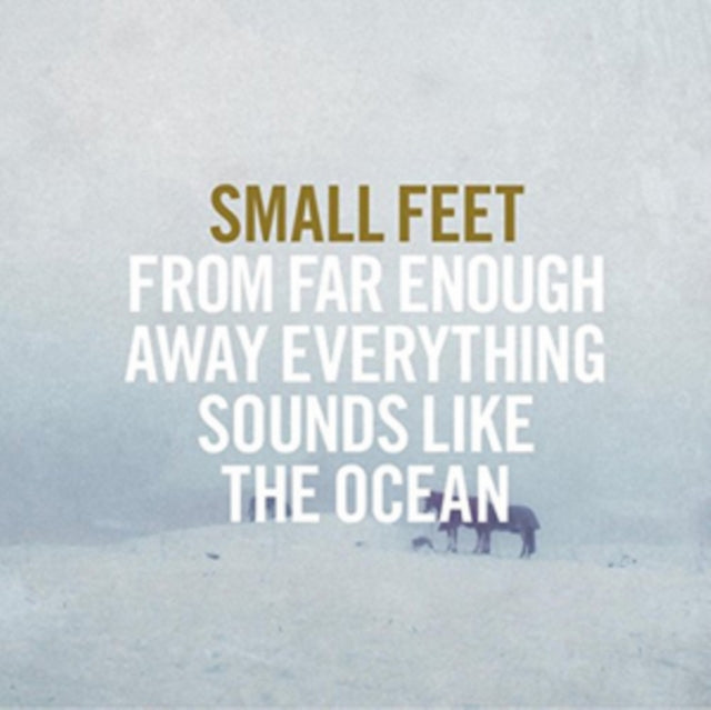 From Far Enough Away Everything Sounds Like the Ocean