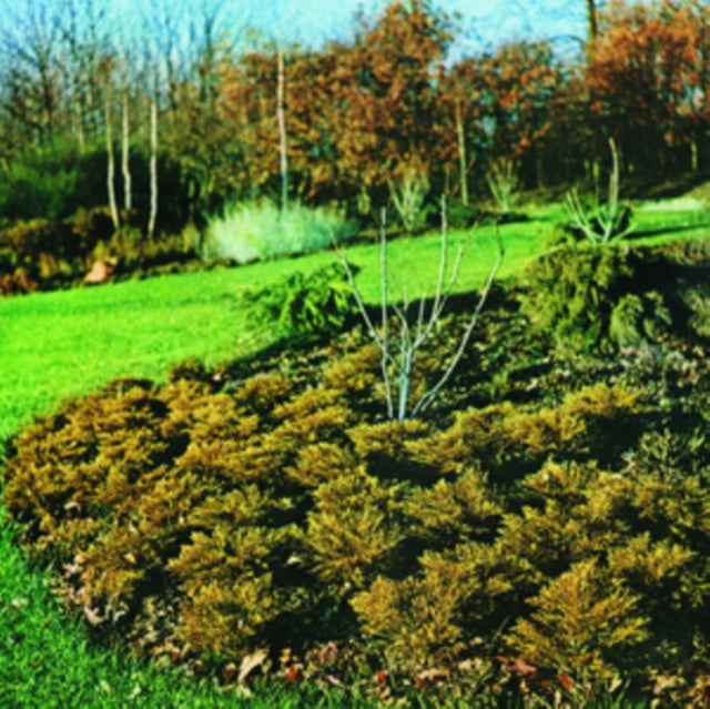Maximum Growth and Vigour