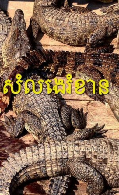 SE Asian Noise(s)