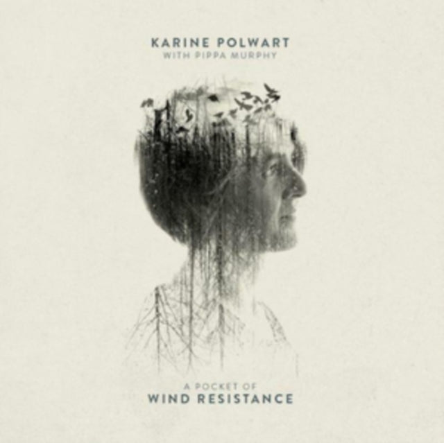 A Pocket of Wind Resistance (RSD 2018)