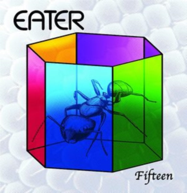 Fifteen/Why Don't You...?