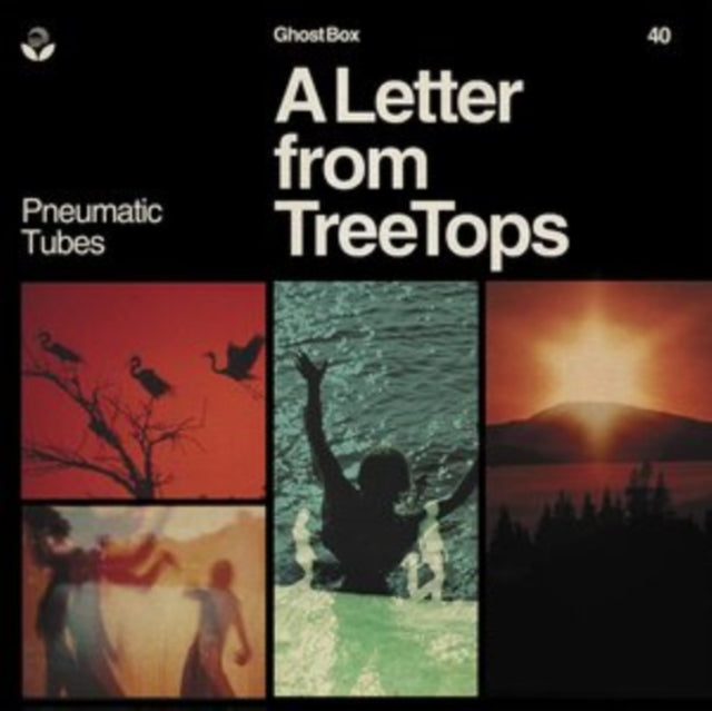 A Letter from Treetops