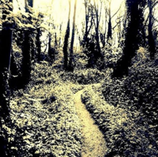 Music from the Dark Branches