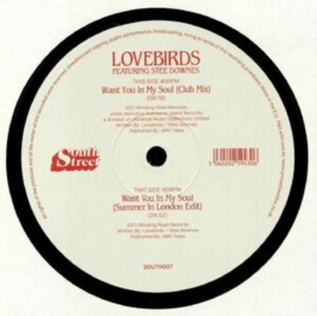 Want You in My Soul Feat. Stee Downes