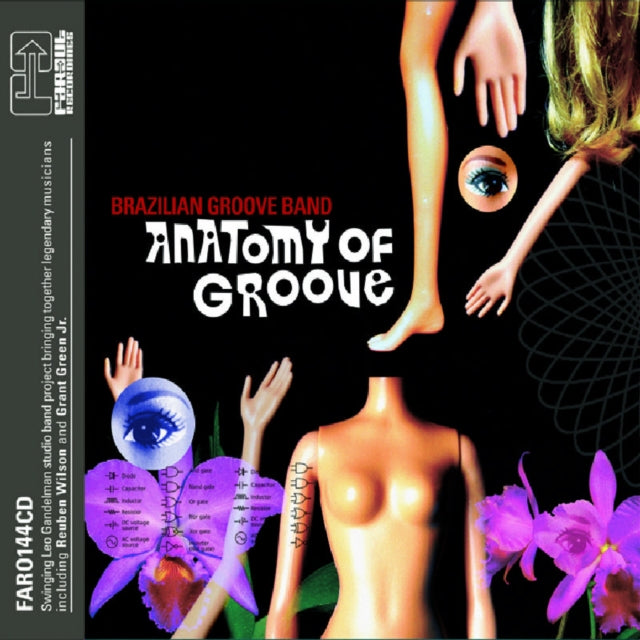 Anatomy of groove