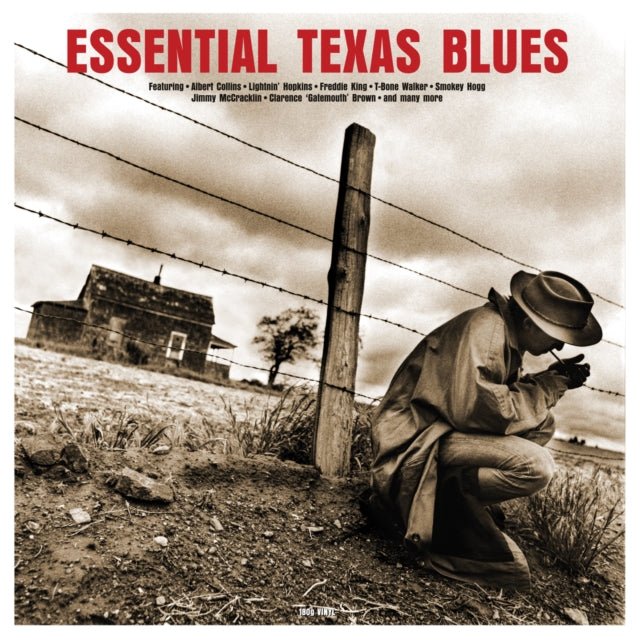 Essential Texas Blues