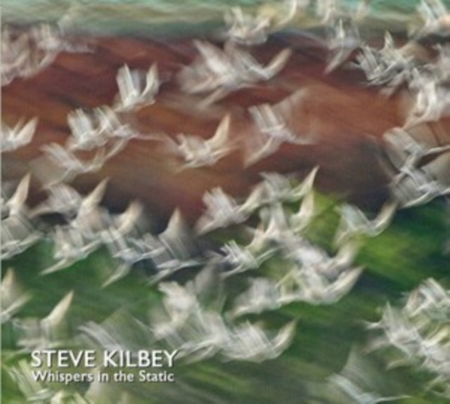 Whispers in the Static