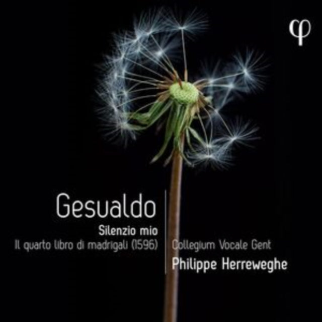 Gesualdo: Silenzio Mio