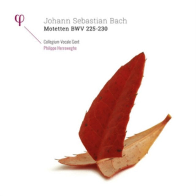 Johann Sebastian Bach: Motetten, BWV 225-230
