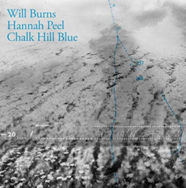 Chalk Hill Blue