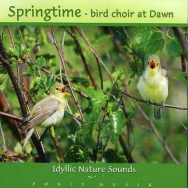 Springtime - Bird Choir at Dawn