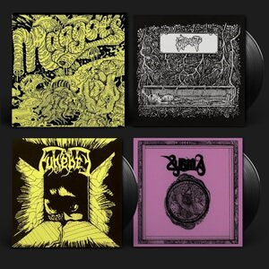 Maggots