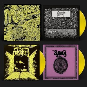 Maggots