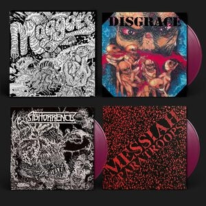 Maggots