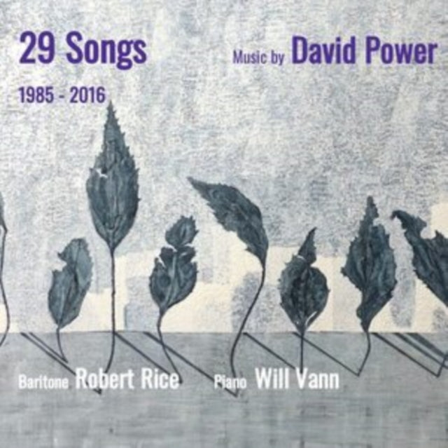 29 Songs: Music By David Power