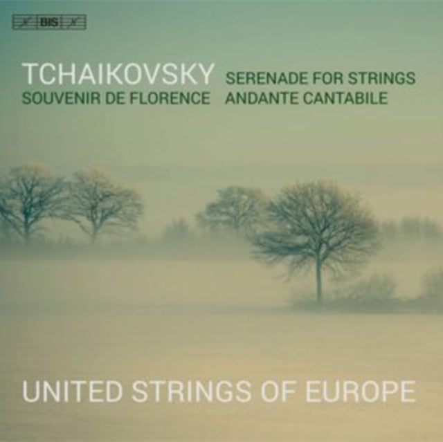 Tchaikovsky: Serenade for Strings/Souvenir De Florence/Andante...