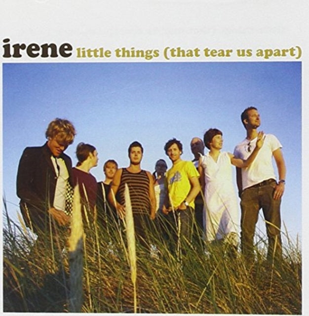 Little Things (That Tear Us Apart)
