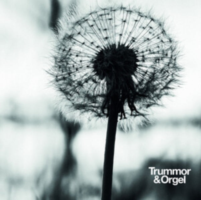 Graceful Degradation/New Beginning