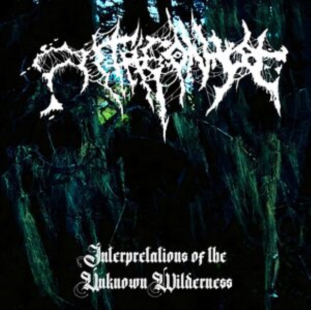 Interpretations of the Unknown Wilderness