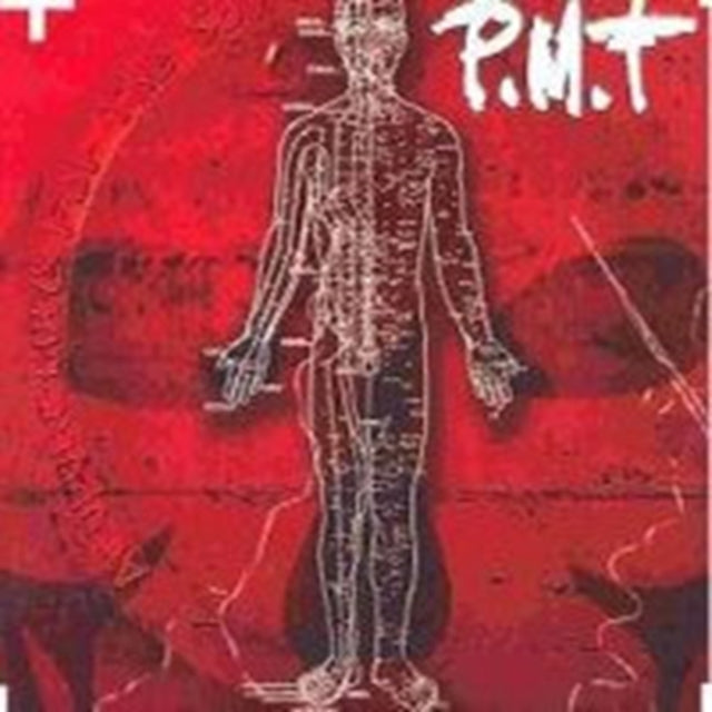 Accupuncture for the Soul