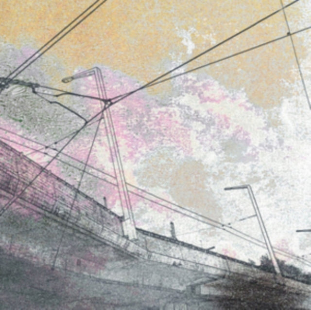 Paths of the Errant Gaze