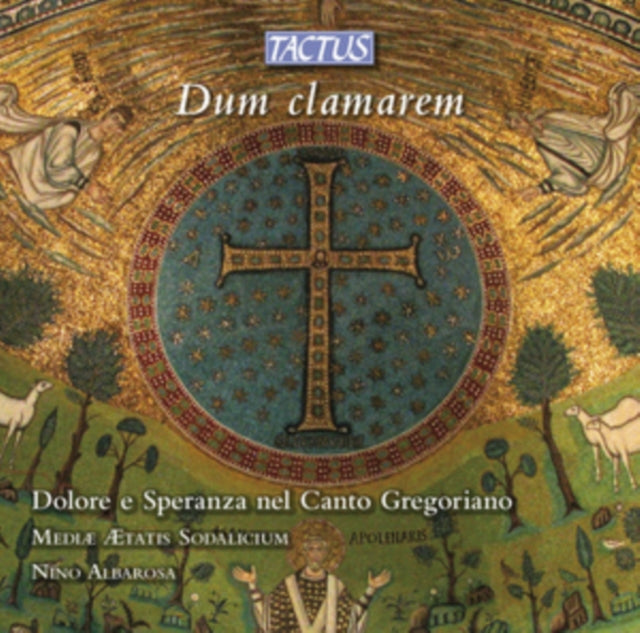 Dum Clamarem