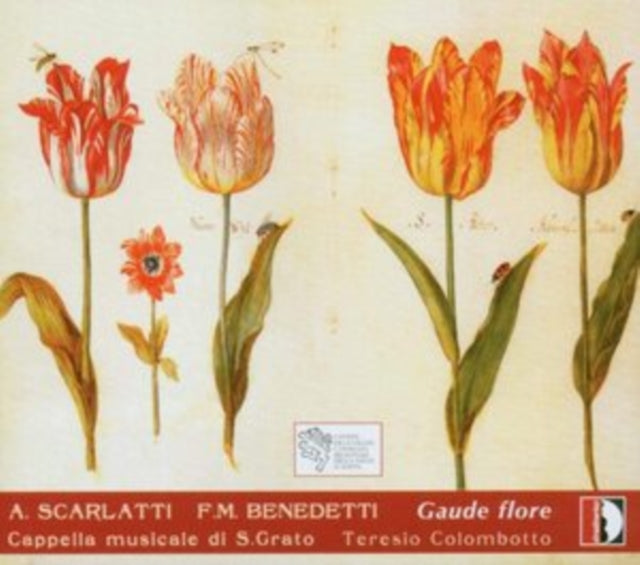 A. Scarlatti/F.M. Benedetti: Gaude Flore