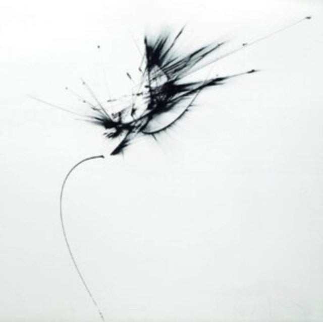 Guix: Images of Broken Light