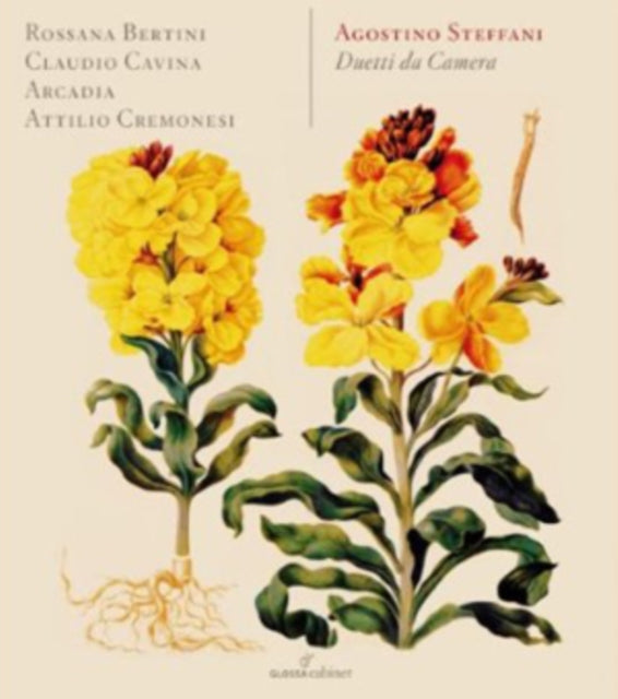 Agostino Steffani: Duetti Da Camera