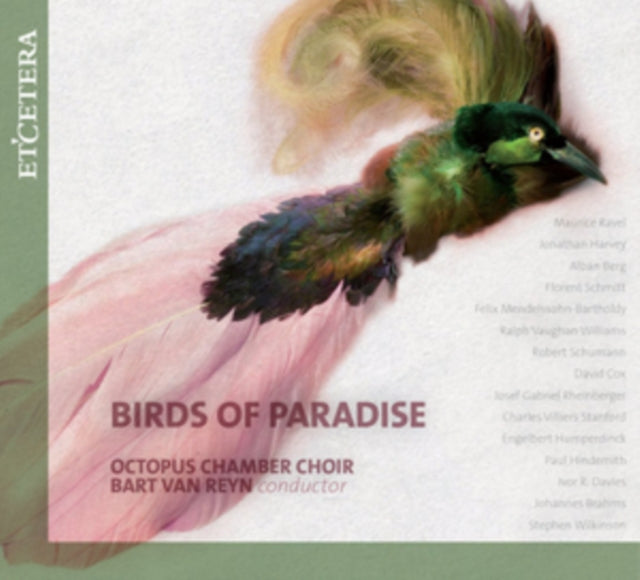 Birds of Paradise
