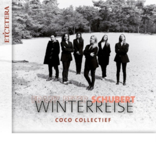 Franz Peter Schubert: Winterreise