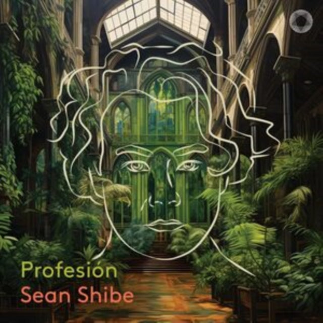 Sean Shibe: Profesión