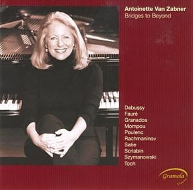 Bridges to Beyond (Van Zabner)
