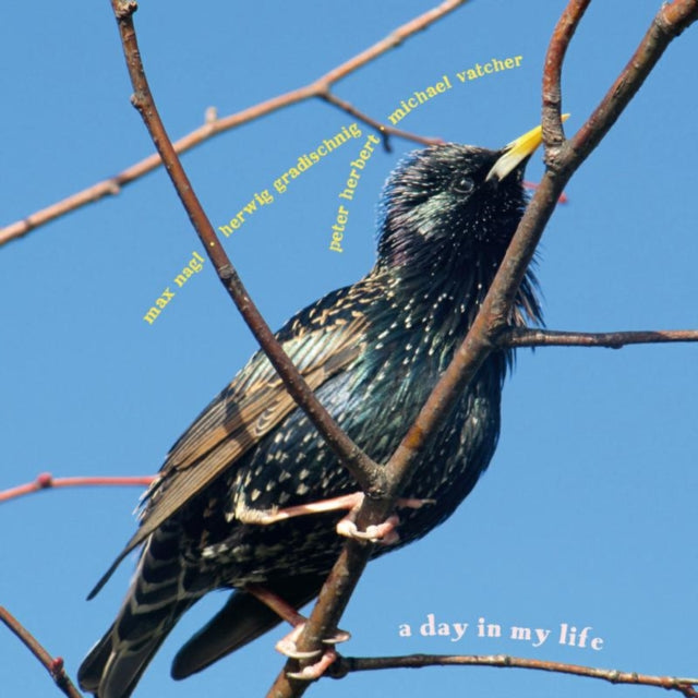 A Day in My Life