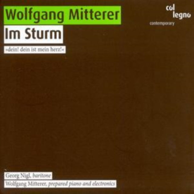 Wolfgang Mitterer: Im Sturm