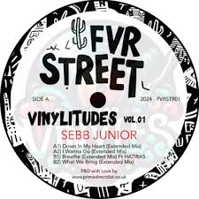 Vinylitudes Vol. 1
