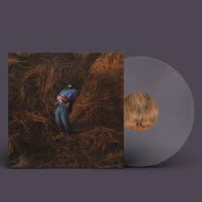 Pillars (Clear Vinyl) (Indie Exclusive)