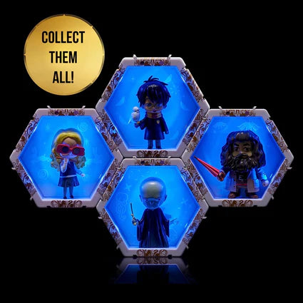 Wow! Pod Wizarding World - Harry With Hedwig (Wo)