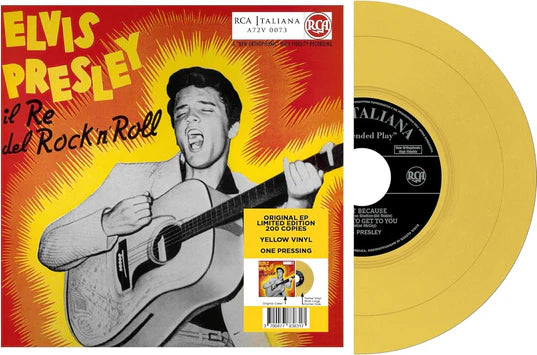 Il Re Del Rock 'N' Roll