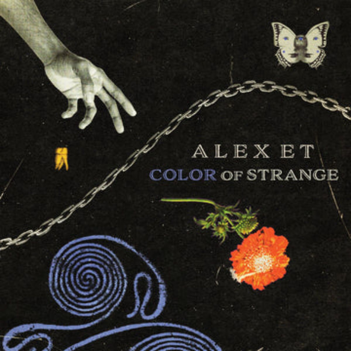 Color of Strange