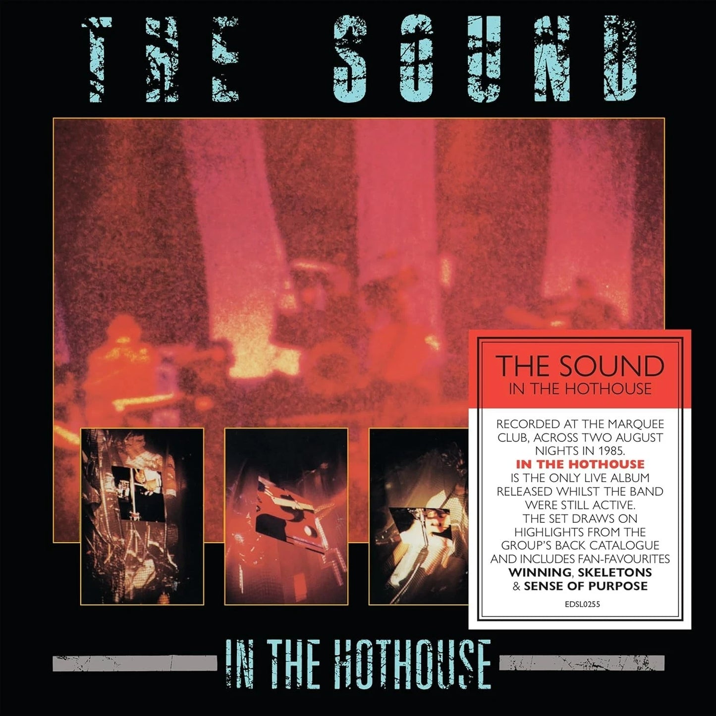 In the Hothouse