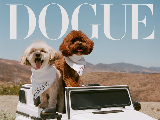 Sabrina Carpenter’s Dogs Become Cover Stars, Gaining ‘Substantial Egos’