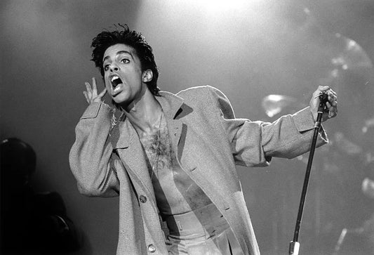 The Timeless Legacy of Prince Rogers Nelson