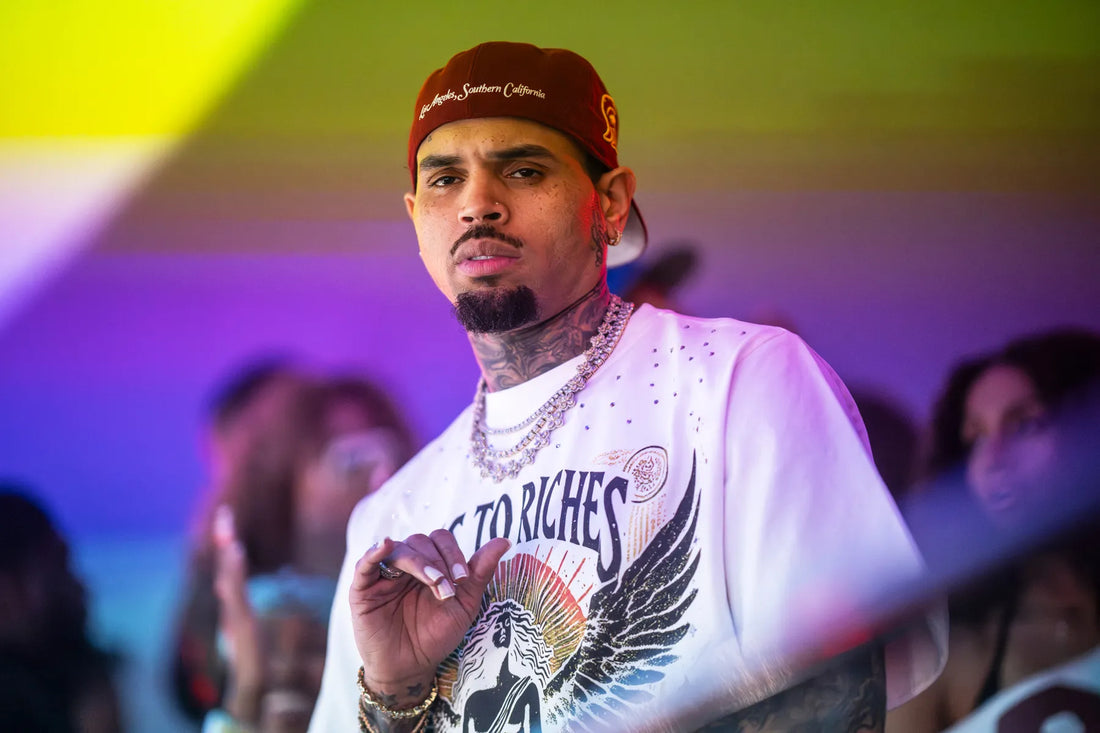 Chris Brown Addresses Dog Attack Allegations in a New Deposition