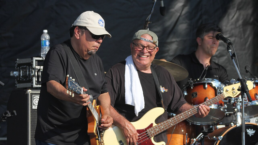 Los Lobos Sues Label Over Lost Royalties