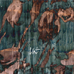 Lint