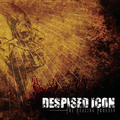 Despised Icon
