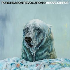 Pure Reason Revolution