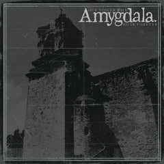 Amygdala