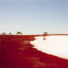Peter Knight & Australian Art Orchestra